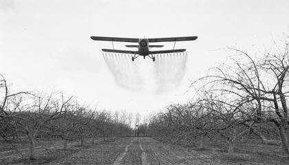 an-2